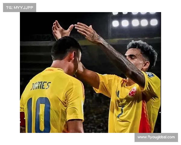 南美杯阿尔米兰提布朗无缘晋级