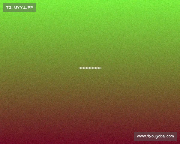 曼城新援表现亮眼，球队实力增强