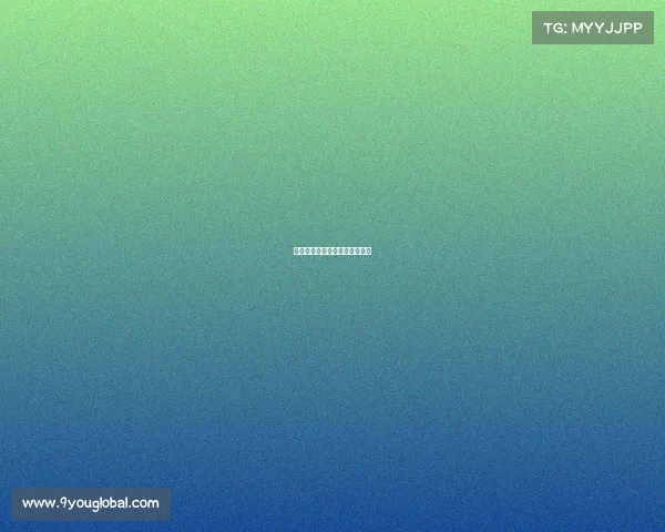 法甲：里尔丢分，形势变得紧张