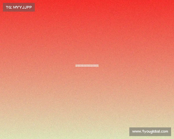 球场英雄：那些令人瞩目的篮球明星